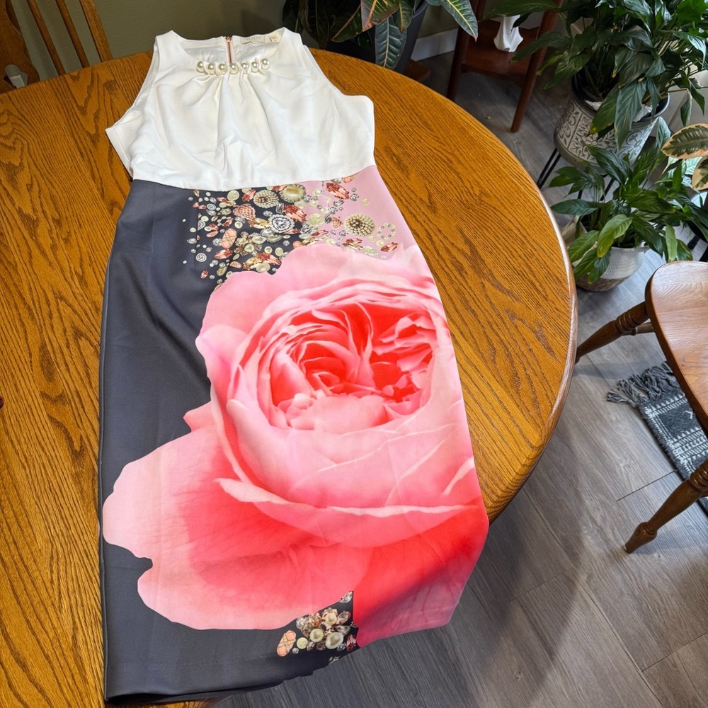 Ted Baker Rubelle Blenheim Palace Dress Floral Print and Pearl Neckline Size XL